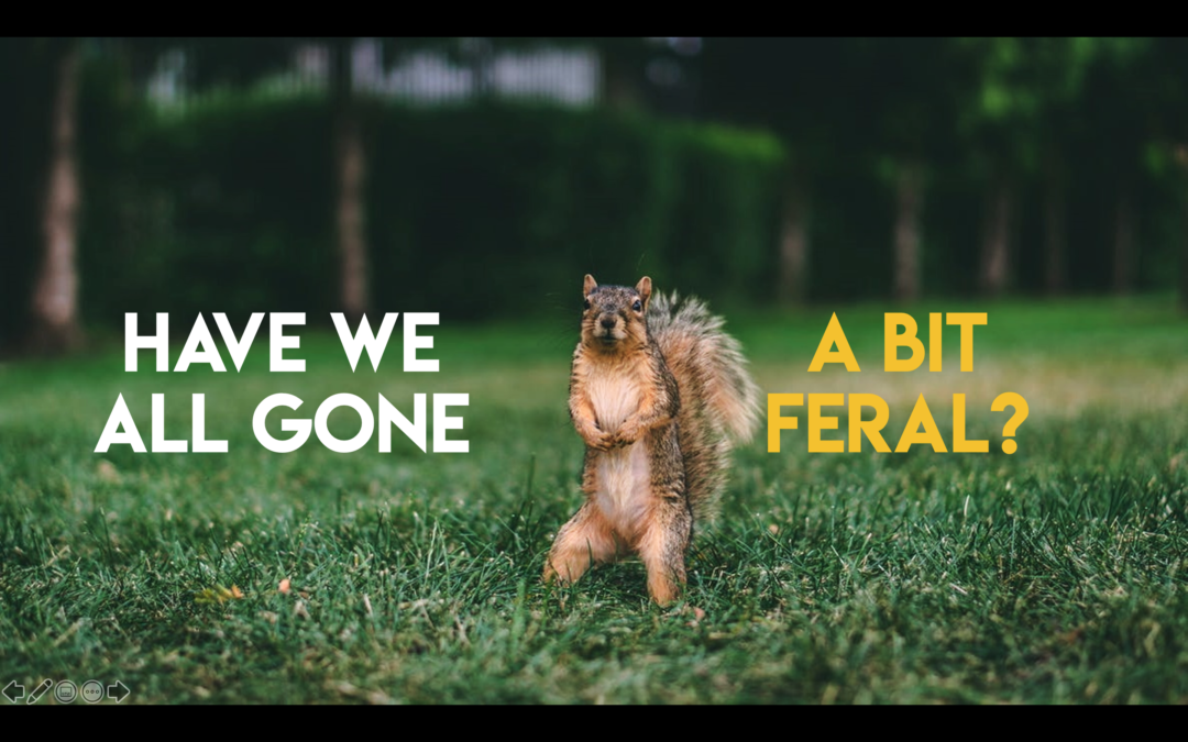 Return to the Office: have we all gone a bit feral?
