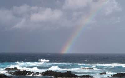 How leaders set the weather and why being consistent is more important than ever.