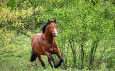Sprinting into September?  Hold your horses. Slow down and find something more impactful to do.