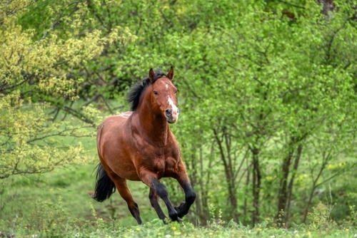 Sprinting into September?  Hold your horses. Slow down and find something more impactful to do.